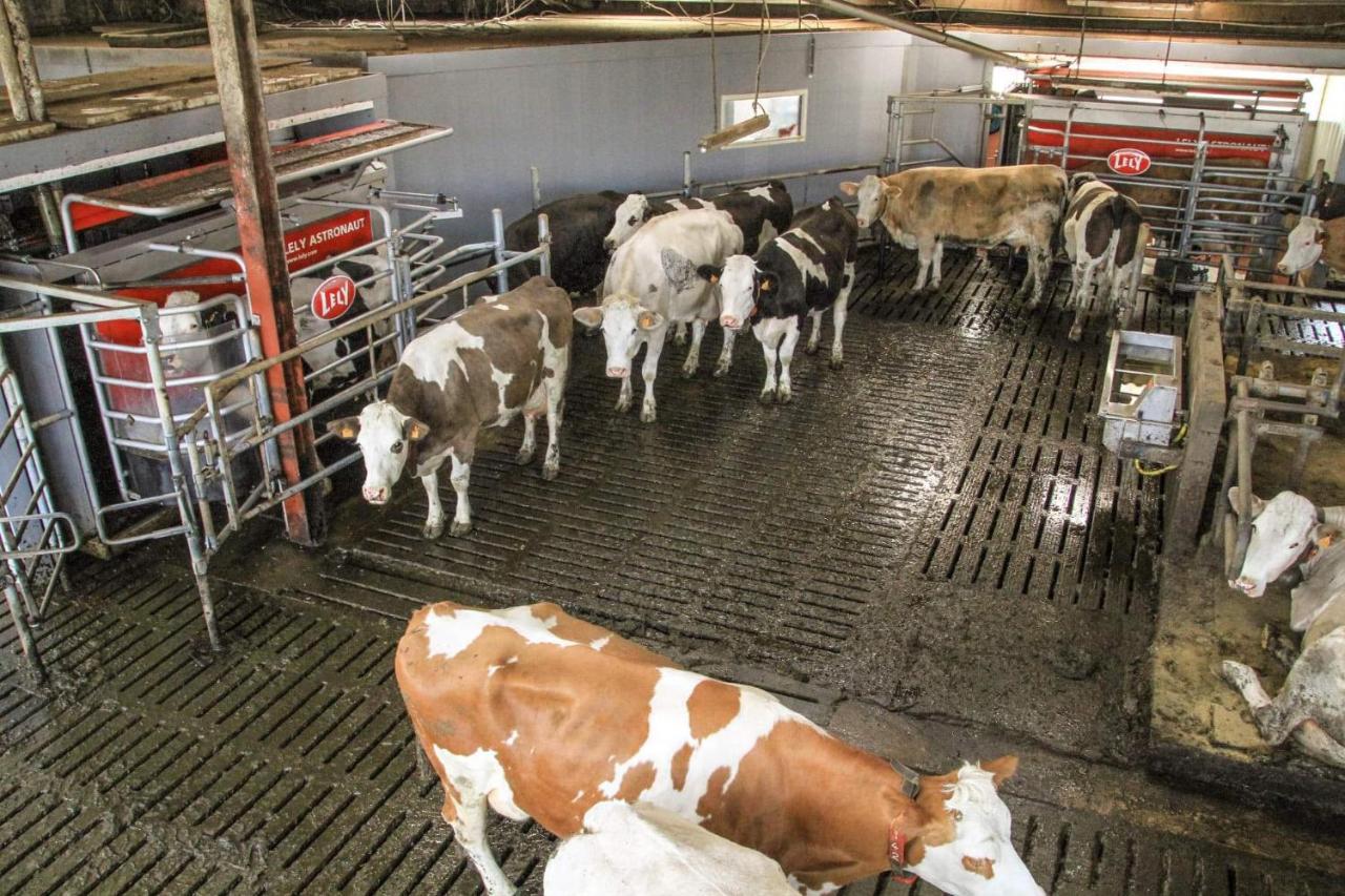 Gite A La Ferme Rouvroy Exteriér fotografie